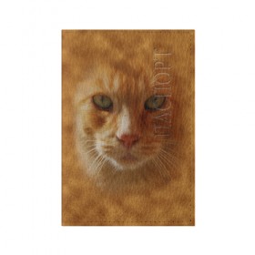 Обложка для паспорта матовая кожа с принтом Рыжий котик в Петрозаводске, натуральная матовая кожа | размер 19,3 х 13,7 см; прозрачные пластиковые крепления | Тематика изображения на принте: животные | кот | котенок | котик | кошка | мордочка | рыжий