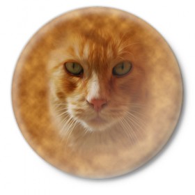 Значок с принтом Рыжий котик в Петрозаводске,  металл | круглая форма, металлическая застежка в виде булавки | Тематика изображения на принте: животные | кот | котенок | котик | кошка | мордочка | рыжий