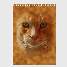 Скетчбук с принтом Рыжий котик в Петрозаводске, 100% бумага
 | 48 листов, плотность листов — 100 г/м2, плотность картонной обложки — 250 г/м2. Листы скреплены сверху удобной пружинной спиралью | Тематика изображения на принте: животные | кот | котенок | котик | кошка | мордочка | рыжий
