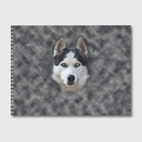 Альбом для рисования с принтом Хаска в Петрозаводске, 100% бумага
 | матовая бумага, плотность 200 мг. | мордочка | пес | собака | хаска | щенок