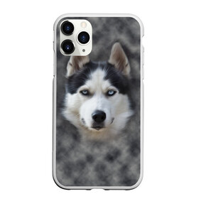 Чехол для iPhone 11 Pro матовый с принтом Хаска в Петрозаводске, Силикон |  | мордочка | пес | собака | хаска | щенок