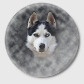 Значок с принтом Хаска в Петрозаводске,  металл | круглая форма, металлическая застежка в виде булавки | мордочка | пес | собака | хаска | щенок