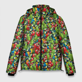 Мужская зимняя куртка 3D с принтом Попугаи в Петрозаводске, верх — 100% полиэстер; подкладка — 100% полиэстер; утеплитель — 100% полиэстер | длина ниже бедра, свободный силуэт Оверсайз. Есть воротник-стойка, отстегивающийся капюшон и ветрозащитная планка. 

Боковые карманы с листочкой на кнопках и внутренний карман на молнии. | ара | животные | паттрен | попугай | птицы | птички | текстура | тропики