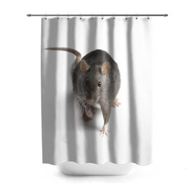 Штора 3D для ванной с принтом Крыса в Петрозаводске, 100% полиэстер | плотность материала — 100 г/м2. Стандартный размер — 146 см х 180 см. По верхнему краю — пластиковые люверсы для креплений. В комплекте 10 пластиковых колец | животные | крыса | мышка | мышь