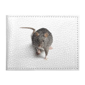 Обложка для студенческого билета с принтом Крыса в Петрозаводске, натуральная кожа | Размер: 11*8 см; Печать на всей внешней стороне | животные | крыса | мышка | мышь
