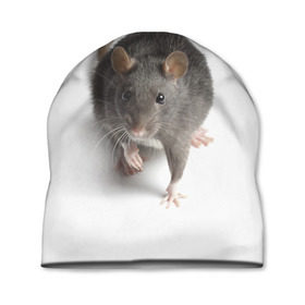 Шапка 3D с принтом Крыса в Петрозаводске, 100% полиэстер | универсальный размер, печать по всей поверхности изделия | животные | крыса | мышка | мышь
