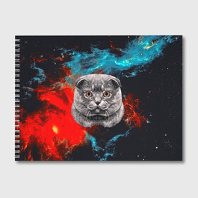 Альбом для рисования с принтом Космический кот в Петрозаводске, 100% бумага
 | матовая бумага, плотность 200 мг. | 3d | cat | арт | взгляд | кот | кот хипстер | котёнок | котятки | котятушки | кошечки | кошка | мордочка