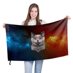 Флаг 3D с принтом Кот в космосе! в Петрозаводске, 100% полиэстер | плотность ткани — 95 г/м2, размер — 67 х 109 см. Принт наносится с одной стороны | 3d | cat | арт | взгляд | вселенная | звезды | земля | космос | кот | кот хипстер | котёнок | котятки | котятушки | кошечки | кошка | мордочка | плеяды | пространство | созвездие