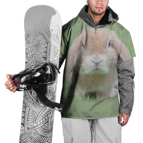 Накидка на куртку 3D с принтом Кролик в Петрозаводске, 100% полиэстер |  | Тематика изображения на принте: грызун | животные | заяц | кролик | мордочка | природа | пушистый | уши