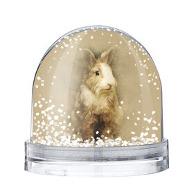 Водяной шар с принтом Кролик в Петрозаводске, Пластик | Изображение внутри шара печатается на глянцевой фотобумаге с двух сторон | грызун | животные | заяц | кролик | мордочка | природа | пушистый | уши