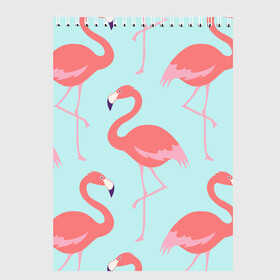 Скетчбук с принтом Flamingos pattern в Петрозаводске, 100% бумага
 | 48 листов, плотность листов — 100 г/м2, плотность картонной обложки — 250 г/м2. Листы скреплены сверху удобной пружинной спиралью | animals | beautiful | bird | birds | birdy | blue | color | flamingo | nature | wild | белое | голубое | животные | красивое | красота | милое | природа | птица | птицы | птичка | птички | синее | фламинго | цвет | яркое