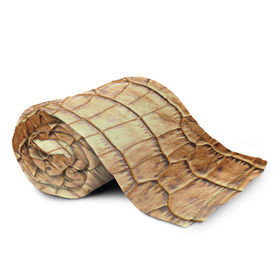 Плед 3D с принтом Крокодил в Петрозаводске, 100% полиэстер | закругленные углы, все края обработаны. Ткань не мнется и не растягивается | аллигатор | варан | игуана | кайман | кожа | крокодил | питон | ящерица