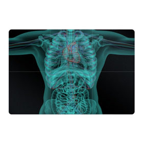 Магнитный плакат 3Х2 с принтом рентген человека в Петрозаводске, Полимерный материал с магнитным слоем | 6 деталей размером 9*9 см | кости | органы | рентген | человек