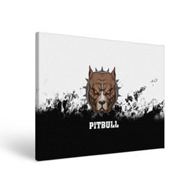 Холст прямоугольный с принтом Pitbull в Петрозаводске, 100% ПВХ |  | Тематика изображения на принте: 3d | dog | pitbull | абстракция | животные | краска | собака | черно белый