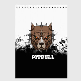 Скетчбук с принтом Pitbull в Петрозаводске, 100% бумага
 | 48 листов, плотность листов — 100 г/м2, плотность картонной обложки — 250 г/м2. Листы скреплены сверху удобной пружинной спиралью | 3d | dog | pitbull | абстракция | животные | краска | собака | черно белый