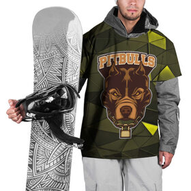 Накидка на куртку 3D с принтом Pitbulls в Петрозаводске, 100% полиэстер |  | dog | pitbulls | абстракция | геометрия | животные | собака | треугольники | цепь