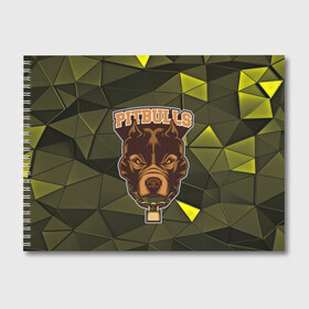 Альбом для рисования с принтом Pitbulls в Петрозаводске, 100% бумага
 | матовая бумага, плотность 200 мг. | dog | pitbulls | абстракция | геометрия | животные | собака | треугольники | цепь