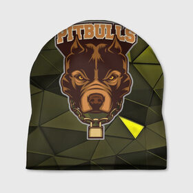 Шапка 3D с принтом Pitbulls в Петрозаводске, 100% полиэстер | универсальный размер, печать по всей поверхности изделия | dog | pitbulls | абстракция | геометрия | животные | собака | треугольники | цепь