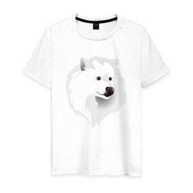 Мужская футболка хлопок с принтом Самоед в Петрозаводске, 100% хлопок | прямой крой, круглый вырез горловины, длина до линии бедер, слегка спущенное плечо. | ездовая собака | ес | лайка | самоедская собака