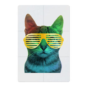 Магнитный плакат 2Х3 с принтом Кот в очках в Петрозаводске, Полимерный материал с магнитным слоем | 6 деталей размером 9*9 см | cat | kitty | space | животные | космос | кот | котенок | кошка | очки | радуга | цвет