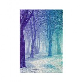 Обложка для паспорта матовая кожа с принтом Мрачный лес в Петрозаводске, натуральная матовая кожа | размер 19,3 х 13,7 см; прозрачные пластиковые крепления | Тематика изображения на принте: вечер | деревья | загадочный | зеленый | земля | зима | лес | необычный | природа | свет | свечение | сибирь | снег | тайга | фиолетовый | яркий