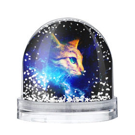 Снежный шар с принтом Звездный кот в Петрозаводске, Пластик | Изображение внутри шара печатается на глянцевой фотобумаге с двух сторон | звезды | кот | мордочка | темный