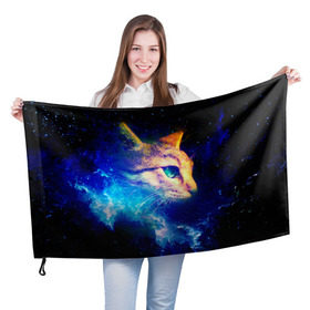 Флаг 3D с принтом Звездный кот в Петрозаводске, 100% полиэстер | плотность ткани — 95 г/м2, размер — 67 х 109 см. Принт наносится с одной стороны | звезды | кот | мордочка | темный