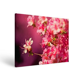 Холст прямоугольный с принтом Сакура в Петрозаводске, 100% ПВХ |  | 3d | flower | nature | pink | sakura | весна | деревья | природа | розовый | сакура | цветы | япония