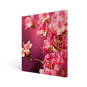 Холст квадратный с принтом Сакура в Петрозаводске, 100% ПВХ |  | 3d | flower | nature | pink | sakura | весна | деревья | природа | розовый | сакура | цветы | япония