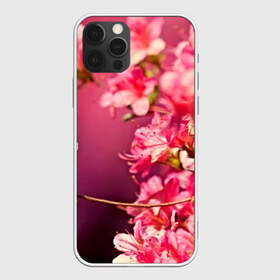 Чехол для iPhone 12 Pro Max с принтом Сакура в Петрозаводске, Силикон |  | 3d | flower | nature | pink | sakura | весна | деревья | природа | розовый | сакура | цветы | япония