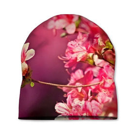 Шапка 3D с принтом Сакура в Петрозаводске, 100% полиэстер | универсальный размер, печать по всей поверхности изделия | Тематика изображения на принте: 3d | flower | nature | pink | sakura | весна | деревья | природа | розовый | сакура | цветы | япония