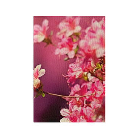 Обложка для паспорта матовая кожа с принтом Сакура в Петрозаводске, натуральная матовая кожа | размер 19,3 х 13,7 см; прозрачные пластиковые крепления | 3d | flower | nature | pink | sakura | весна | деревья | природа | розовый | сакура | цветы | япония