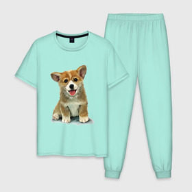 Мужская пижама хлопок с принтом Коржик в Петрозаводске, 100% хлопок | брюки и футболка прямого кроя, без карманов, на брюках мягкая резинка на поясе и по низу штанин
 | corgi | dog | korgi | вельш корги | дог | кардиган | корги | пемброк | собака | щенок
