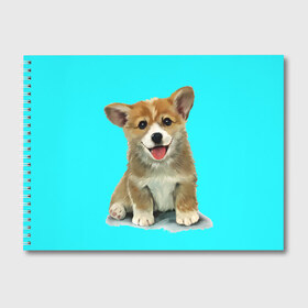 Альбом для рисования с принтом Корги в Петрозаводске, 100% бумага
 | матовая бумага, плотность 200 мг. | corgy | dog | korgi | puppy | вельш корги | кардиган | коржик | пемброк | собака | щенок