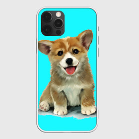 Чехол для iPhone 12 Pro с принтом Корги в Петрозаводске, силикон | область печати: задняя сторона чехла, без боковых панелей | corgy | dog | korgi | puppy | вельш корги | кардиган | коржик | пемброк | собака | щенок