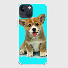Чехол для iPhone 13 mini с принтом Корги в Петрозаводске,  |  | corgy | dog | korgi | puppy | вельш корги | кардиган | коржик | пемброк | собака | щенок