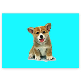 Поздравительная открытка с принтом Корги в Петрозаводске, 100% бумага | плотность бумаги 280 г/м2, матовая, на обратной стороне линовка и место для марки
 | corgy | dog | korgi | puppy | вельш корги | кардиган | коржик | пемброк | собака | щенок