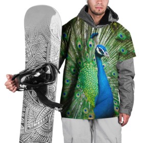 Накидка на куртку 3D с принтом Павлин в Петрозаводске, 100% полиэстер |  | Тематика изображения на принте: павлин | перо