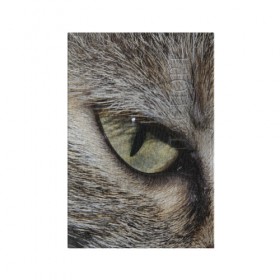 Обложка для паспорта матовая кожа с принтом Кошачий глаз в Петрозаводске, натуральная матовая кожа | размер 19,3 х 13,7 см; прозрачные пластиковые крепления | Тематика изображения на принте: 