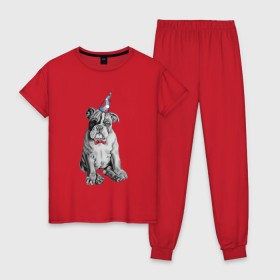 Женская пижама хлопок с принтом праздничный бульдог в Петрозаводске, 100% хлопок | брюки и футболка прямого кроя, без карманов, на брюках мягкая резинка на поясе и по низу штанин | Тематика изображения на принте: dog | happy | бабочка | бульдог | день рождение | дог | собака