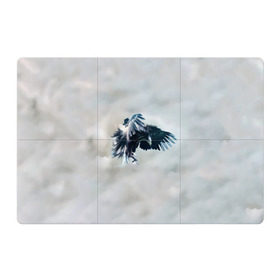 Магнитный плакат 3Х2 с принтом Орлиная атака в Петрозаводске, Полимерный материал с магнитным слоем | 6 деталей размером 9*9 см | клюв | коршун | крылья | небо | облака | опасность | орел | охота | полет. перья | птица | хищник