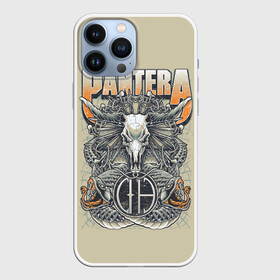 Чехол для iPhone 13 Pro Max с принтом Pantera 81 в Петрозаводске,  |  | anselmo | darel | darell | darrel | darrell | dimebag | pantera | phil | ансельма | ансельмо | даймбег | даймбэг | дарел | дарелл | даррел | даррелл | даррэл | дарэл | дарэлл | пантера | фил