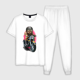 Мужская пижама хлопок с принтом Кот мотоциклист в Петрозаводске, 100% хлопок | брюки и футболка прямого кроя, без карманов, на брюках мягкая резинка на поясе и по низу штанин
 | Тематика изображения на принте: moto | киса | кот | котэ | мото | мотоцикл | очки | шлем