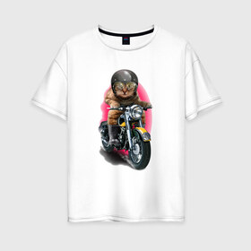 Женская футболка хлопок Oversize с принтом Кот мотоциклист в Петрозаводске, 100% хлопок | свободный крой, круглый ворот, спущенный рукав, длина до линии бедер
 | moto | киса | кот | котэ | мото | мотоцикл | очки | шлем