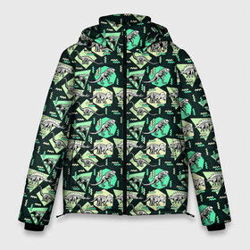Мужская зимняя куртка 3D с принтом Динозавры в Петрозаводске, верх — 100% полиэстер; подкладка — 100% полиэстер; утеплитель — 100% полиэстер | длина ниже бедра, свободный силуэт Оверсайз. Есть воротник-стойка, отстегивающийся капюшон и ветрозащитная планка. 

Боковые карманы с листочкой на кнопках и внутренний карман на молнии. | геометрия | дино | динозавр | динозавр рекс | динозаврик | парк юрского периода | тиранозавр | треугольник | трицератопс | хищник