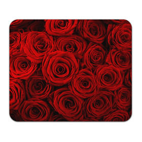 Коврик прямоугольный с принтом Красные розы в Петрозаводске, натуральный каучук | размер 230 х 185 мм; запечатка лицевой стороны | букет | красный | розы | цветы