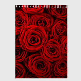 Скетчбук с принтом Красные розы в Петрозаводске, 100% бумага
 | 48 листов, плотность листов — 100 г/м2, плотность картонной обложки — 250 г/м2. Листы скреплены сверху удобной пружинной спиралью | букет | красный | розы | цветы