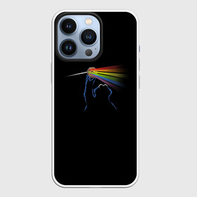 Чехол для iPhone 13 Pro с принтом Pink Floyd Cookie Monster в Петрозаводске,  |  | монстр | печеньки | улица сезам