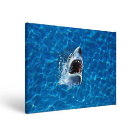 Холст прямоугольный с принтом Пасть акулы в Петрозаводске, 100% ПВХ |  | акула | атака | белая | брызги | вода | волны | зубы | капли | море | океан | опасность | синяя | челюсти | эффект