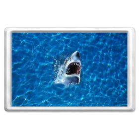 Магнит 45*70 с принтом Пасть акулы в Петрозаводске, Пластик | Размер: 78*52 мм; Размер печати: 70*45 | акула | атака | белая | брызги | вода | волны | зубы | капли | море | океан | опасность | синяя | челюсти | эффект